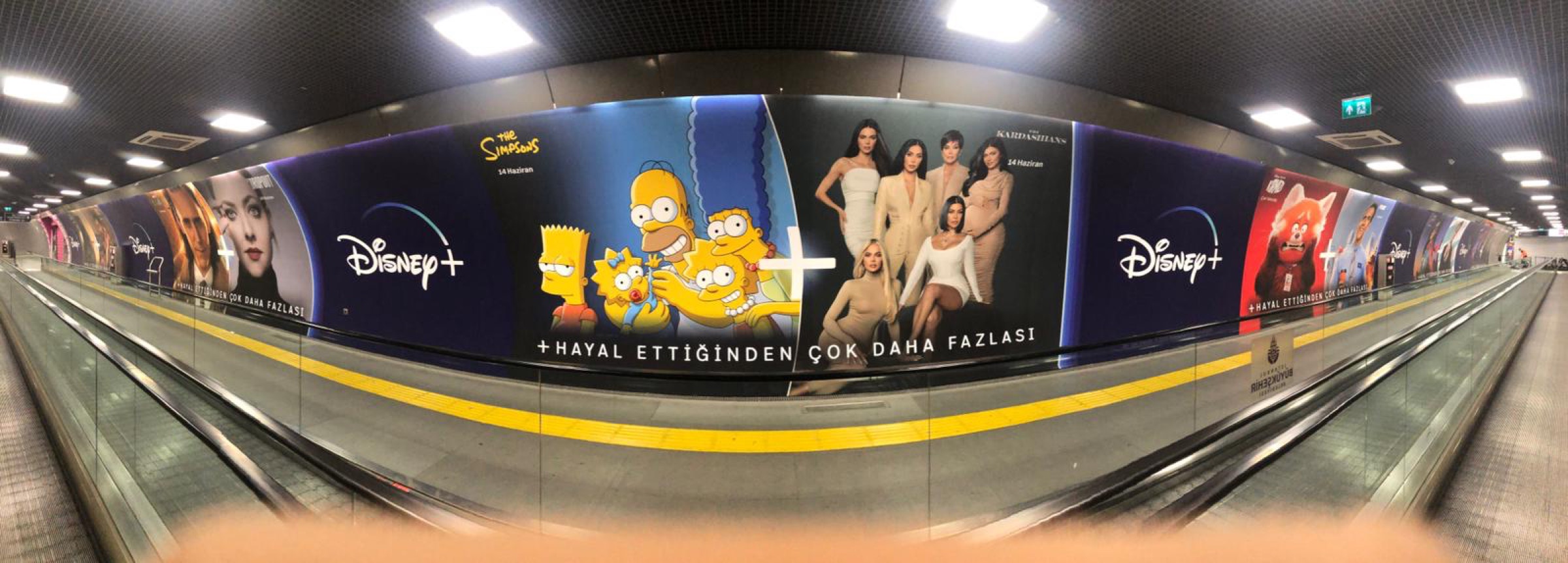 Disney+ Metro Panorama
